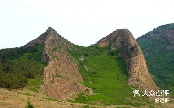 赤峰林木購銷公司電話是多少號-第1張圖片