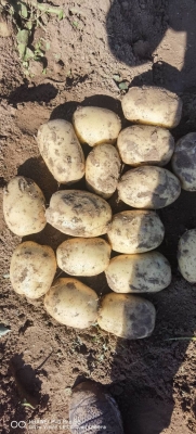 赤峰圍場(chǎng)糧貿(mào)公司電話多少號(hào)-第1張圖片