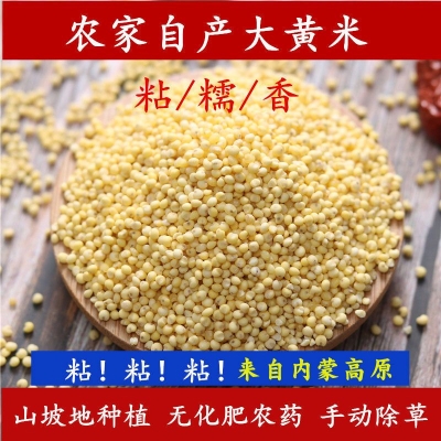 赤峰大潘紋繡店地址電話號碼-第1張圖片