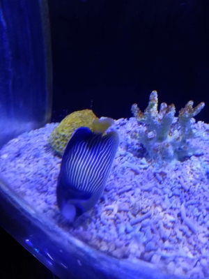 赤峰紅山海洋館電話地址查詢-第1張圖片