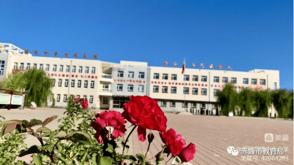 赤峰梧桐鮮花店電話(huà)多少號(hào)-第1張圖片