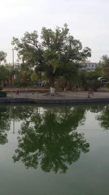 赤峰同城幼兒園電話(huà)號(hào)碼查詢(xún)-第1張圖片