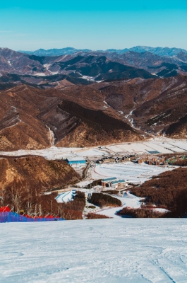 赤峰壁紙專賣店電話號碼查詢-第1張圖片