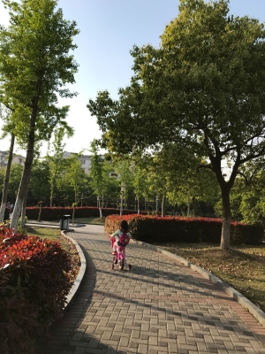 赤峰路59弄居委會電話號碼-第1張圖片