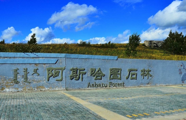 赤峰阿旗網(wǎng)約車公司電話號碼-第1張圖片