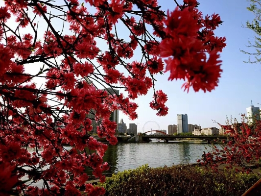 赤峰塔子山紀(jì)念館電話號碼-第1張圖片