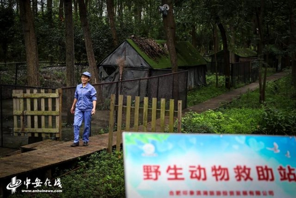 赤峰市動物救助站電話號碼-第1張圖片