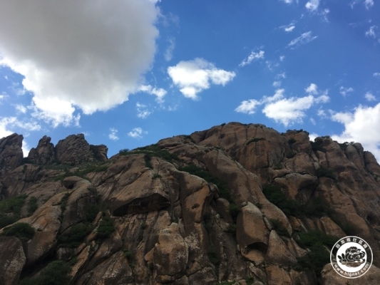 赤峰到克旗網(wǎng)約車(chē)電話(huà)是多少-第1張圖片