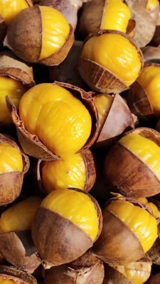 赤峰開口栗子批發(fā)電話號碼查詢-第1張圖片