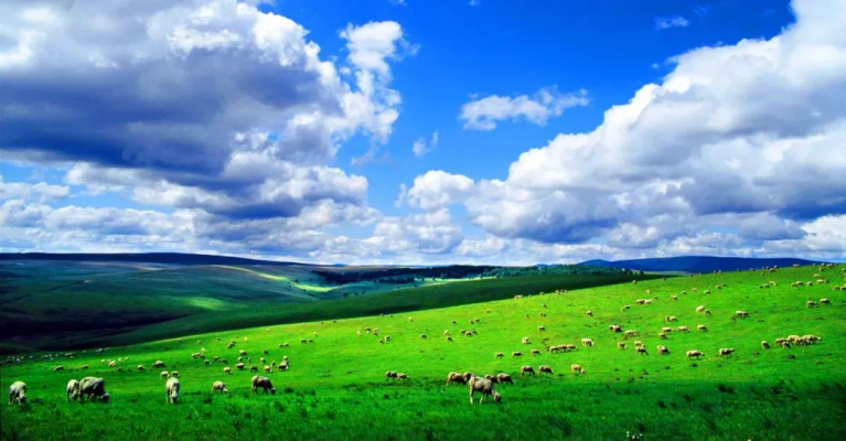 赤峰市僑發(fā)服飾地址電話號(hào)碼-第1張圖片