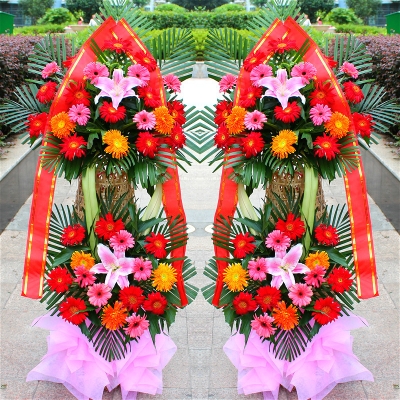 赤峰開(kāi)業(yè)氣球批發(fā)市場(chǎng)電話號(hào)碼-第1張圖片