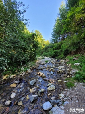 赤峰市天山鎮(zhèn)天水社區(qū)電話號(hào)碼-第1張圖片