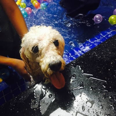 赤峰市嬰兒游泳團(tuán)購電話號(hào)碼-第1張圖片