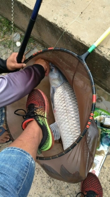 赤峰魚樂圈垂釣基地電話號(hào)碼-第1張圖片