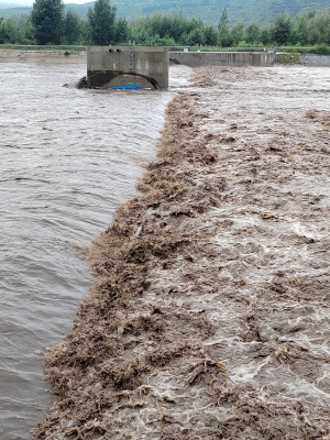 赤峰海明工作室地址電話號碼-第1張圖片