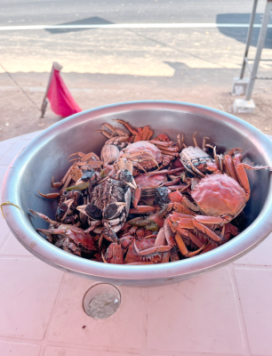 赤峰到徐州網(wǎng)約車電話號(hào)碼-第1張圖片