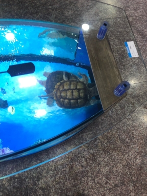 赤峰花卉市場水族館電話號碼-第1張圖片