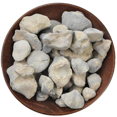 赤峰燕尾樓承板批發(fā)電話號碼-第1張圖片