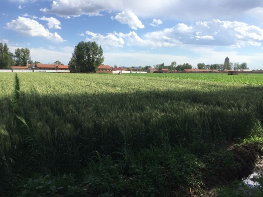 赤峰寧城火車站站電話號碼是多少-第1張圖片