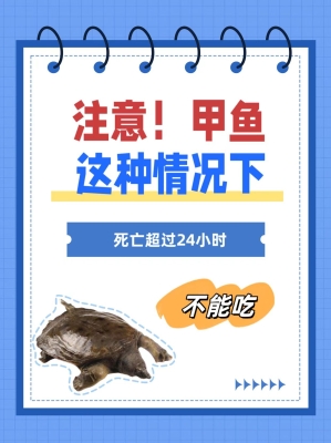 赤峰燉甲魚團(tuán)購群電話號(hào)碼-第1張圖片