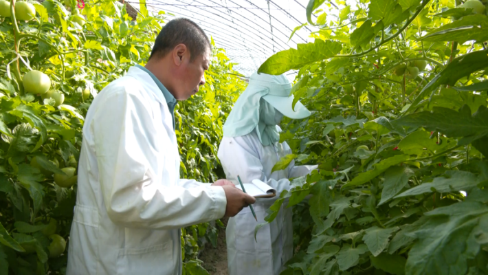 赤峰蔬菜加工廠電話號(hào)碼多少-第1張圖片