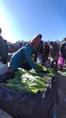 赤峰趕集賣豬肉的電話號(hào)碼是多少-第1張圖片