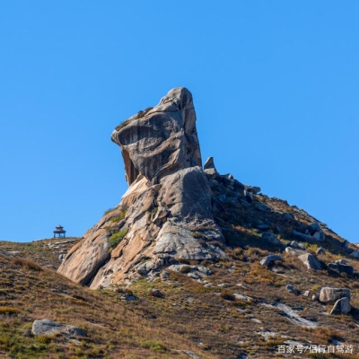 赤峰巴林百貨大樓電話號(hào)碼-第1張圖片