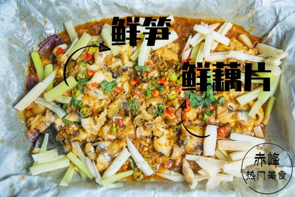 赤峰觀賞魚繁殖場(chǎng)電話號(hào)碼-第1張圖片