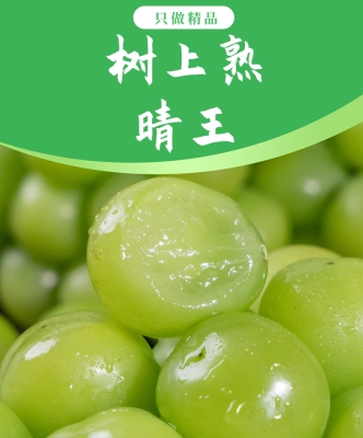 赤峰晴王葡萄水果店電話號(hào)碼-第1張圖片