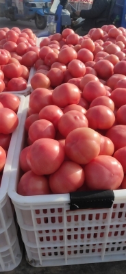 赤峰市分揀中心電話號碼查詢-第1張圖片