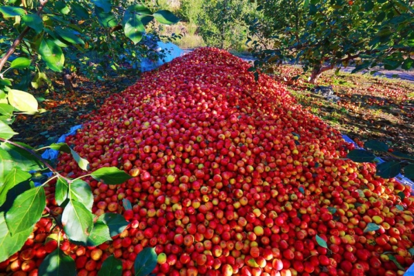 赤峰塔子溝合作社電話號(hào)碼-第1張圖片