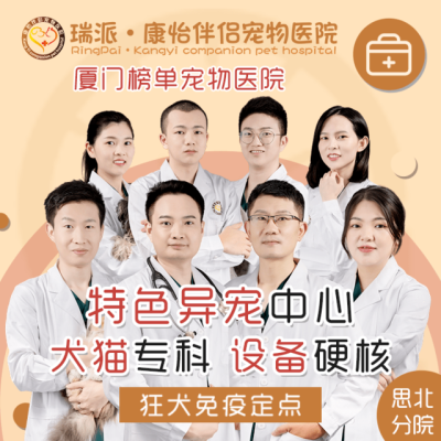 赤峰機場路寵物醫(yī)院電話號碼-第1張圖片