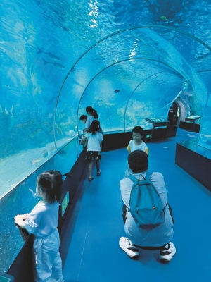 赤峰小波水族館電話地址查詢-第1張圖片