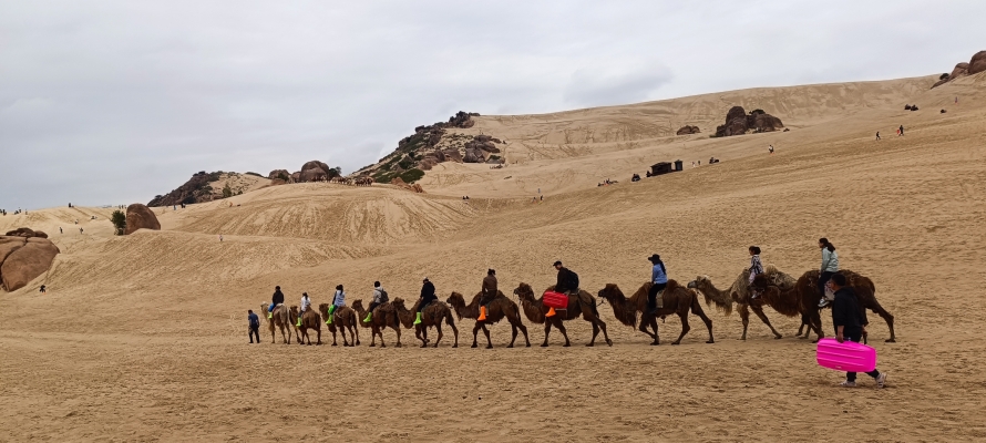 赤峰紅山區(qū)龍發(fā)裝飾電話是多少-第1張圖片