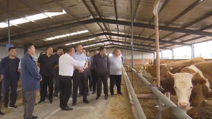 赤峰巴雅爾醫(yī)生電話是多少號-第1張圖片