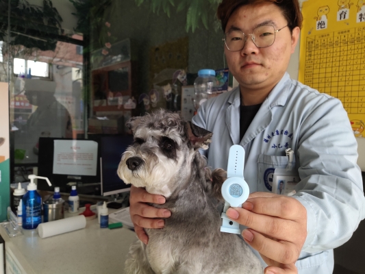 赤峰市養(yǎng)犬證辦理電話號碼-第1張圖片