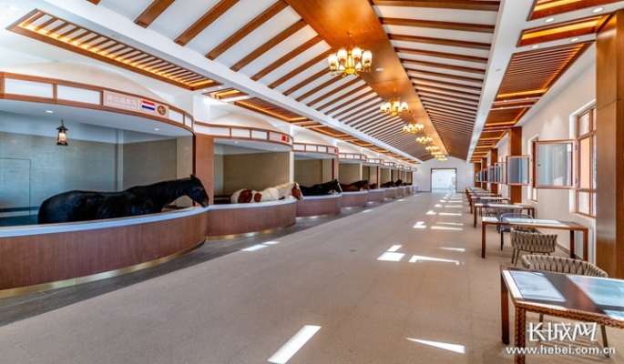 郟縣赤峰樂園電話號碼多少號-第1張圖片