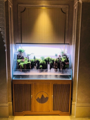 赤峰市魚缸維護(hù)電話地址查詢-第1張圖片