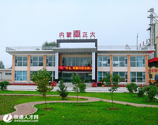 赤峰種豬銷售電話號碼多少號-第1張圖片