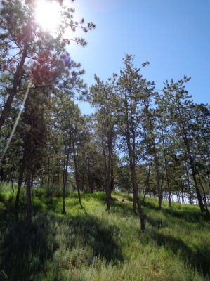 赤峰橋邊邊地主烤肉電話號碼-第1張圖片