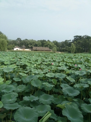 赤峰橋北釣魚地點電話號碼-第1張圖片