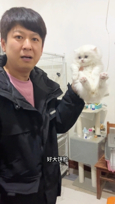 赤峰收貓電話是多少號(hào)碼-第1張圖片