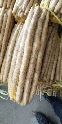 赤峰山藥代辦電話號碼查詢是多少-第1張圖片