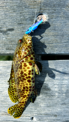 赤峰路亞釣魚點(diǎn)地址電話號(hào)碼-第1張圖片