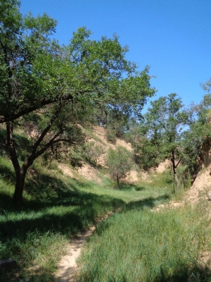 赤峰南山生態(tài)果園地址電話號碼-第1張圖片