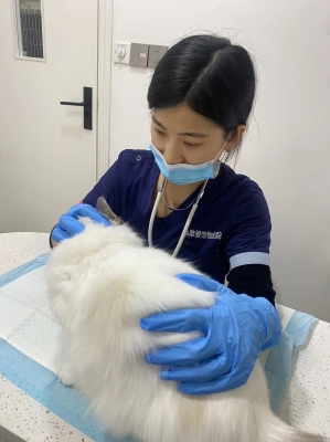 唯愛(ài)寵物基地赤峰店電話(huà)多少-第1張圖片