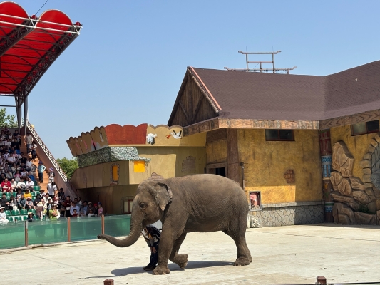 赤峰藍(lán)野動(dòng)物園電話號(hào)碼-第1張圖片