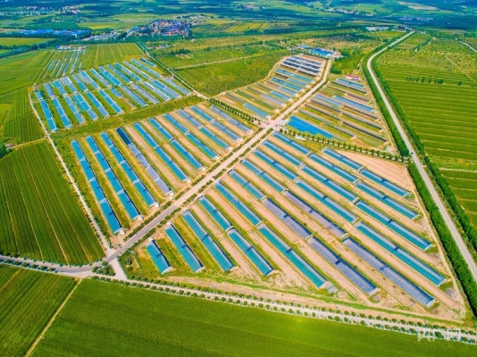 赤峰平莊鎮(zhèn)高速出口電話號(hào)碼-第1張圖片