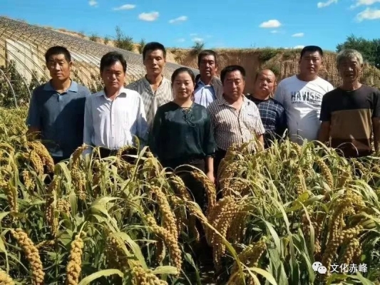 赤峰民兵招募網(wǎng)官網(wǎng)電話號碼-第1張圖片