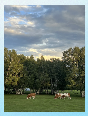 赤峰三胖烤肉店電話號(hào)碼-第1張圖片
